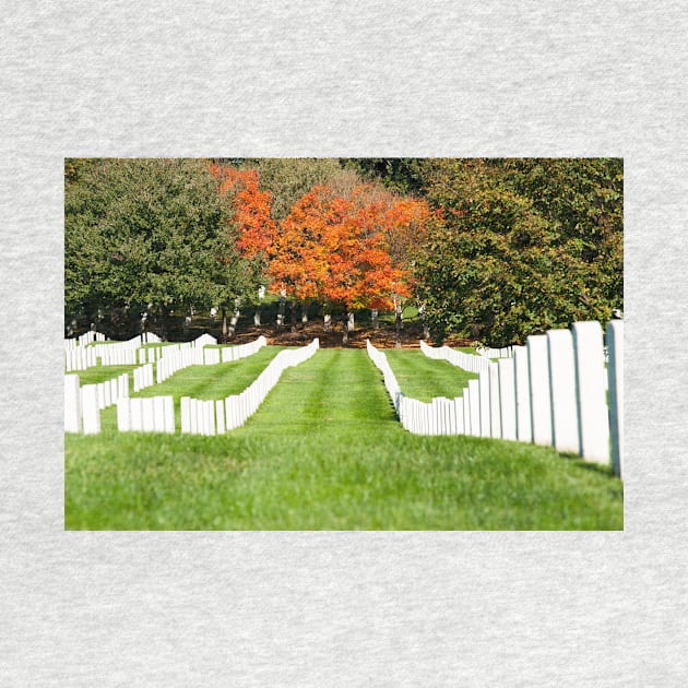 Arlington National Cemetery historic graveyard of national servicemen by brians101